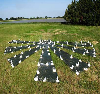 Sun Rise, In situ 0.5, Camargue 2010