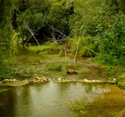 Quand les B�tes Viennent Boire