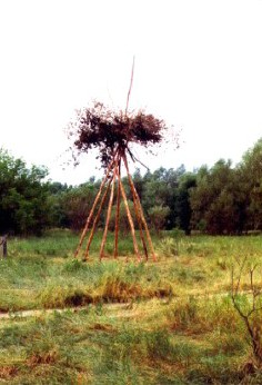 STORCHENNEST