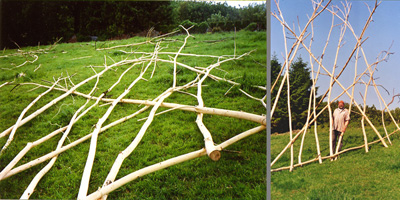 ARBRE &Agrave; PALABRE DU PR&Eacute;SIDIAL