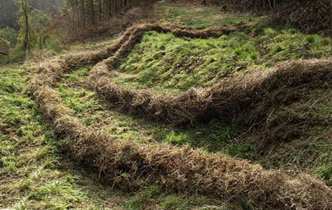 de terrasse en terrasse